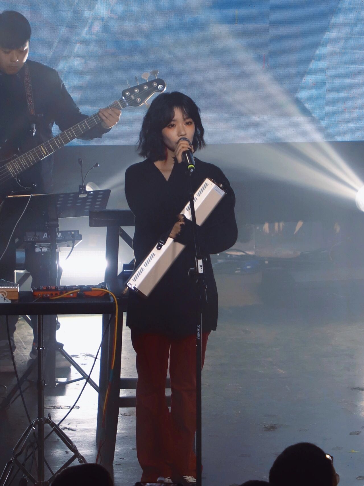 *房东的猫主唱王心怡