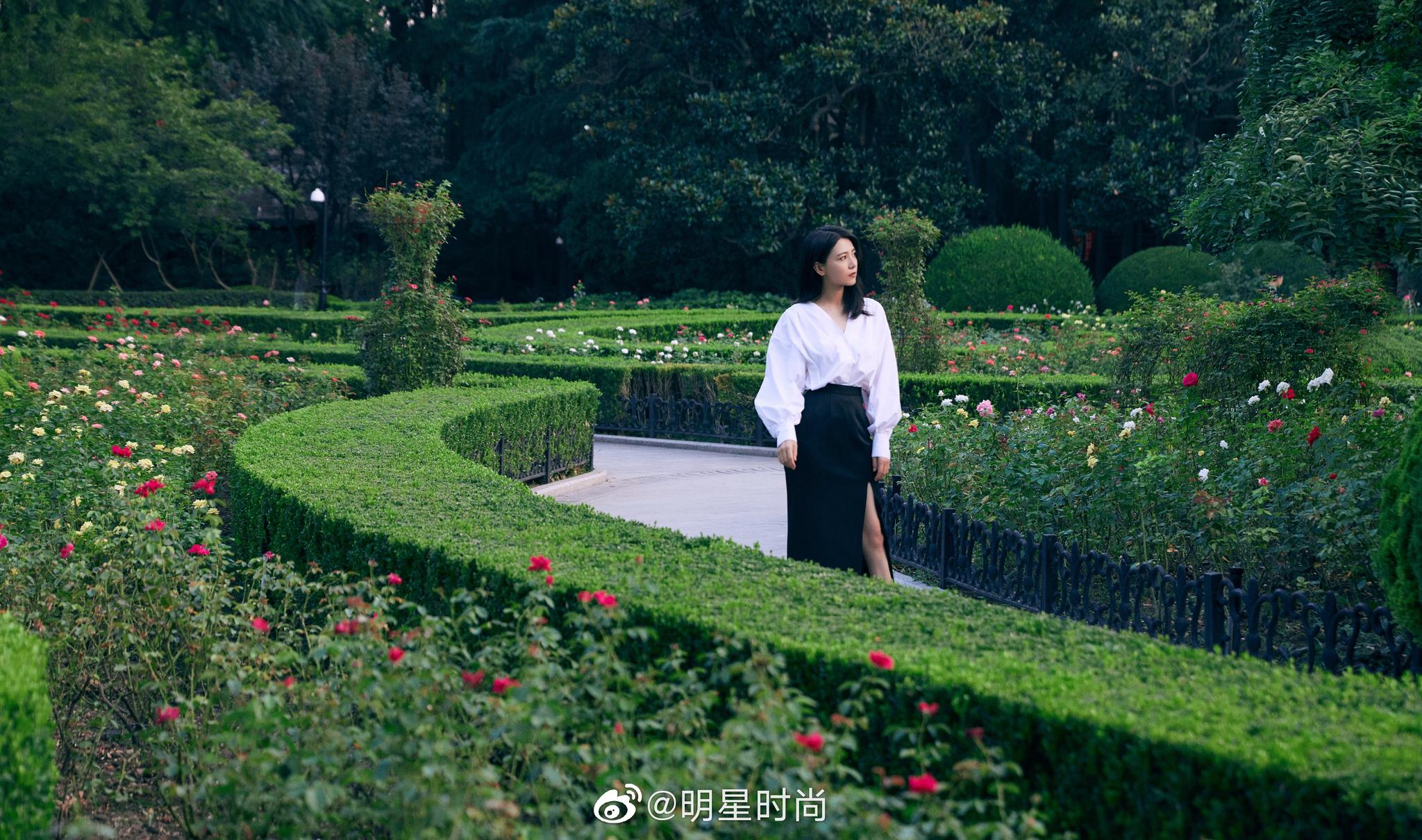 高圆圆最新造型纯白v领衬衫搭配黑色开衩裙简约大方