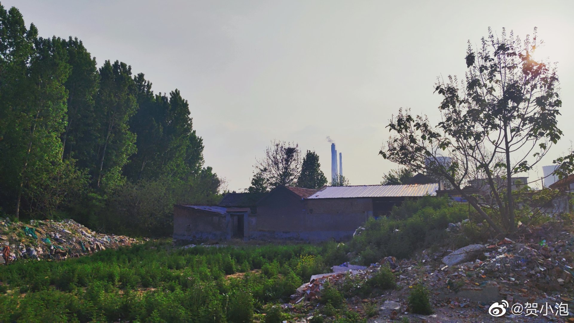 断壁残垣,也是济南. 未来这里就会变成,大辛庄遗址公园