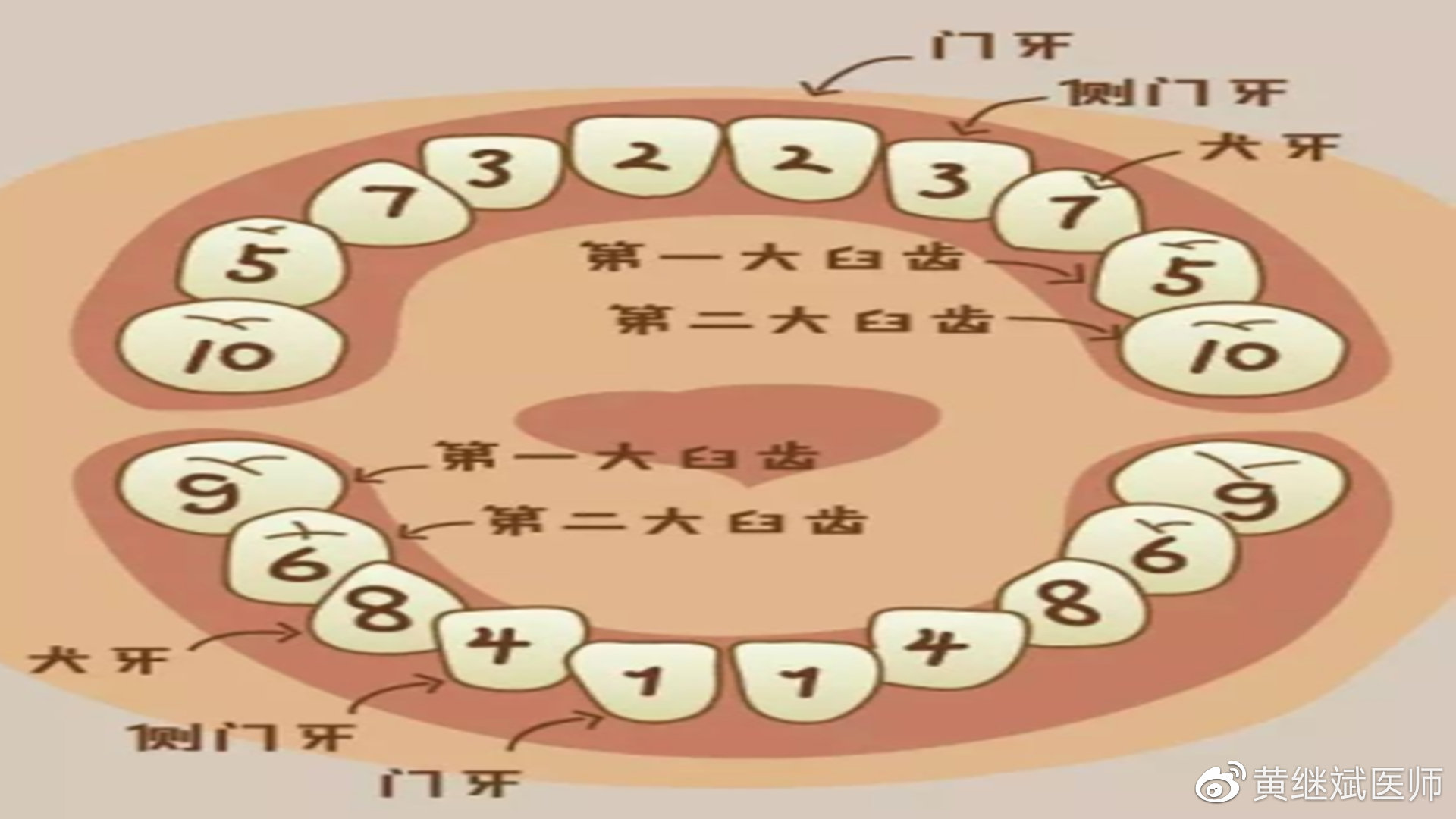 孩子换牙期，有什么注意事项？每个人都会经历一次的换牙期休闲区蓝鸢梦想 - Www.slyday.coM