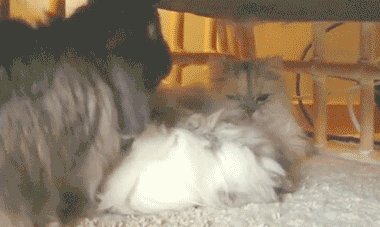 盘点24个只有武汉人才知道的老段子！休闲区蓝鸢梦想 - Www.slyday.coM