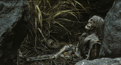 为什么人死后很快就会发臭而猪肉羊肉不会那么快