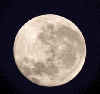 满月前后的七天左右,正好符合这个条件,白天的月亮在清晨和黄昏出现