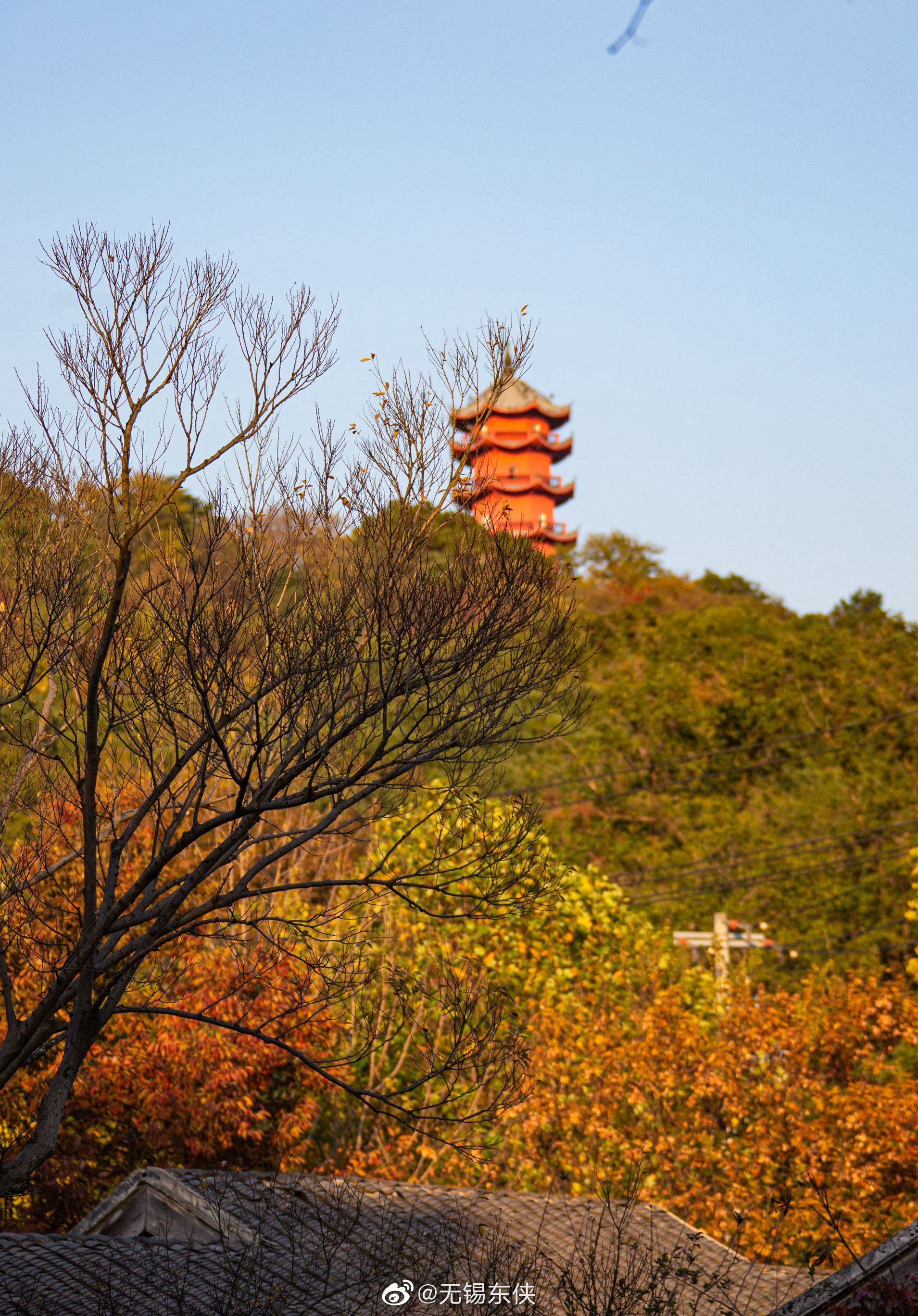 秋风起,无锡惠山古镇的中国杜鹃园里小桥流水亭台楼阁色彩斑斓