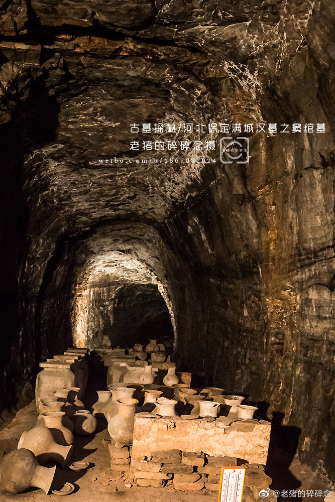 2019年,一头座头鲸出现在亚马逊雨林,生物学家百...