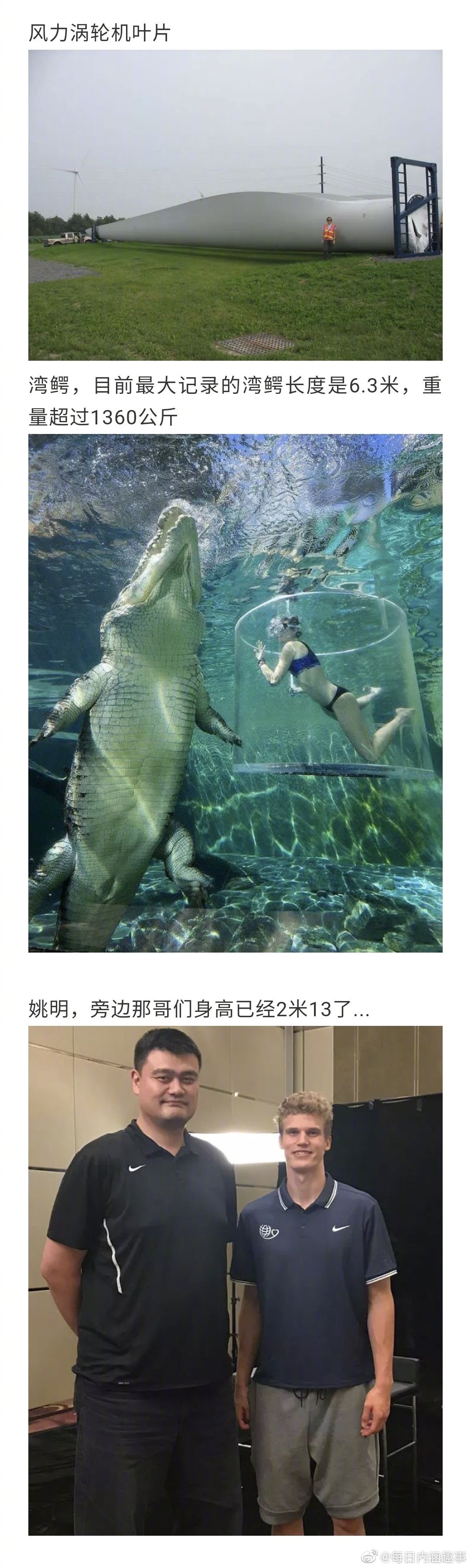 比你想象中还要大的东西！看完直呼好家伙...__财经头条