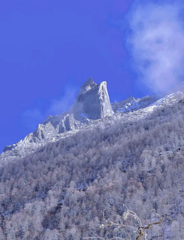 惊艳！这雪景，怕不是人间仙境吧休闲区蓝鸢梦想 - Www.slyday.coM