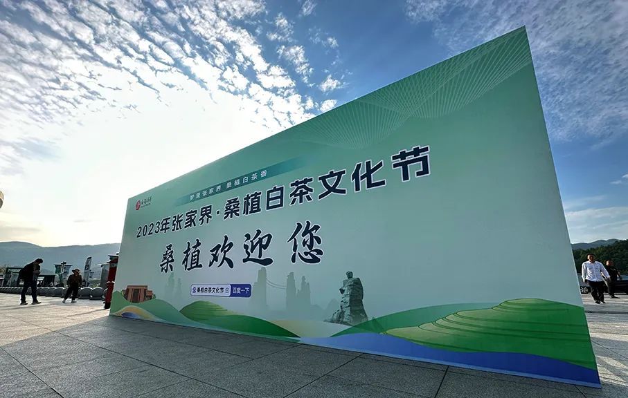 融入张家界,桑植亮出茶旅融合这张王牌__财经头条
