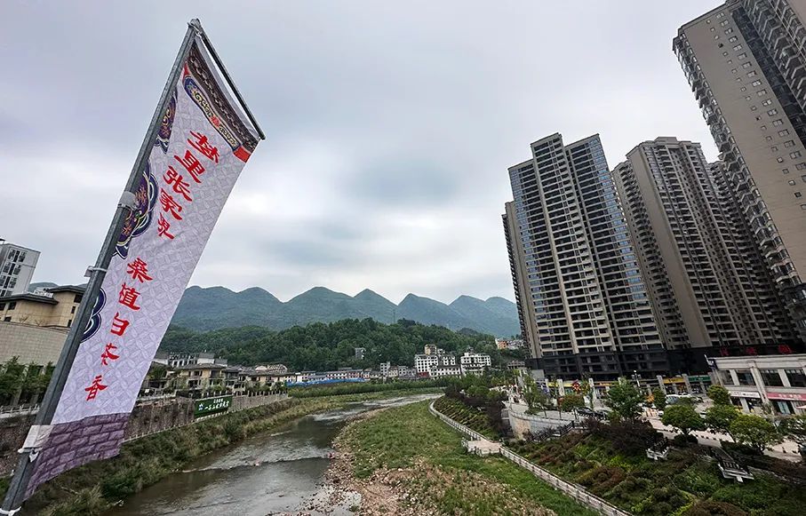 融入张家界,桑植亮出茶旅融合这张王牌__财经头条