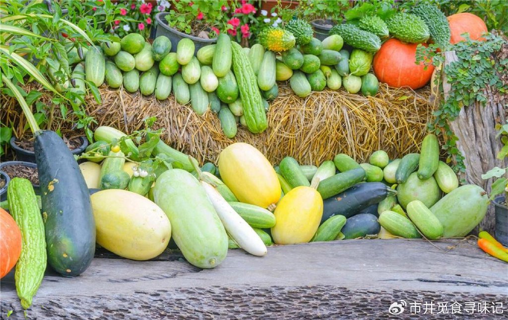 夏吃三瓜，郎中不忙，入夏后，有钱没钱多吃这“3瓜”，正当季|苦瓜|黄瓜|丝瓜|身体|油条_新浪新闻