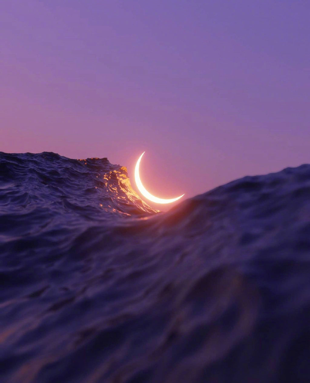 海上明月共潮生 | matias alonso revelli__财经头条