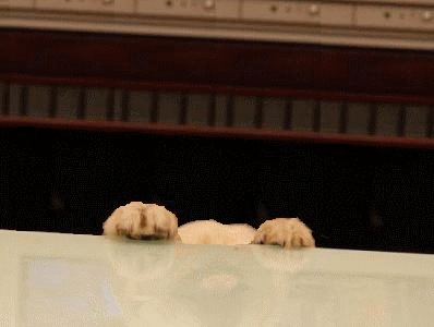 盘点24个只有武汉人才知道的老段子！休闲区蓝鸢梦想 - Www.slyday.coM