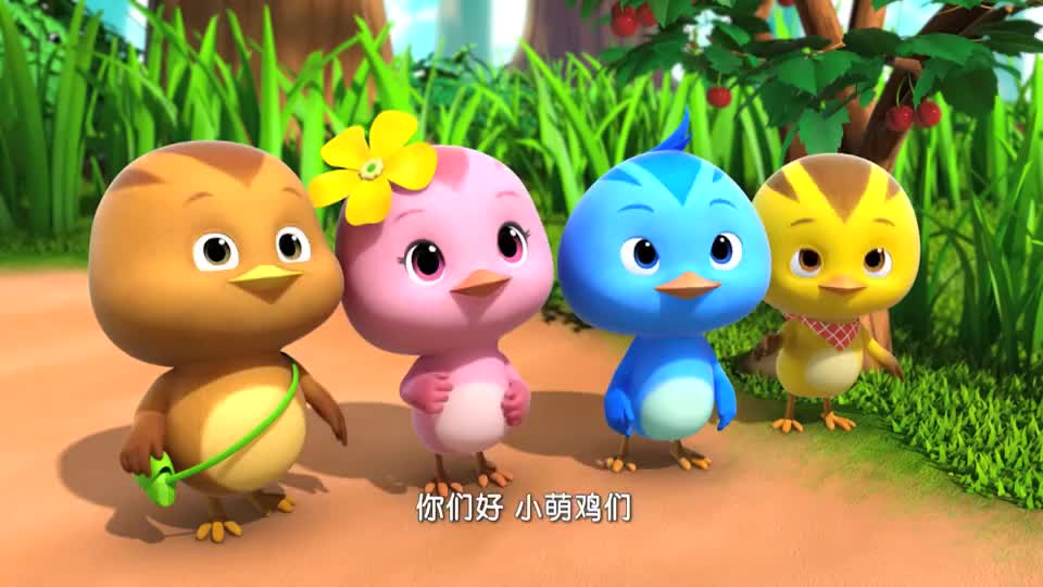 萌鸡小队小鸡们长得很快鸡妈妈很开心这是它最开心的事
