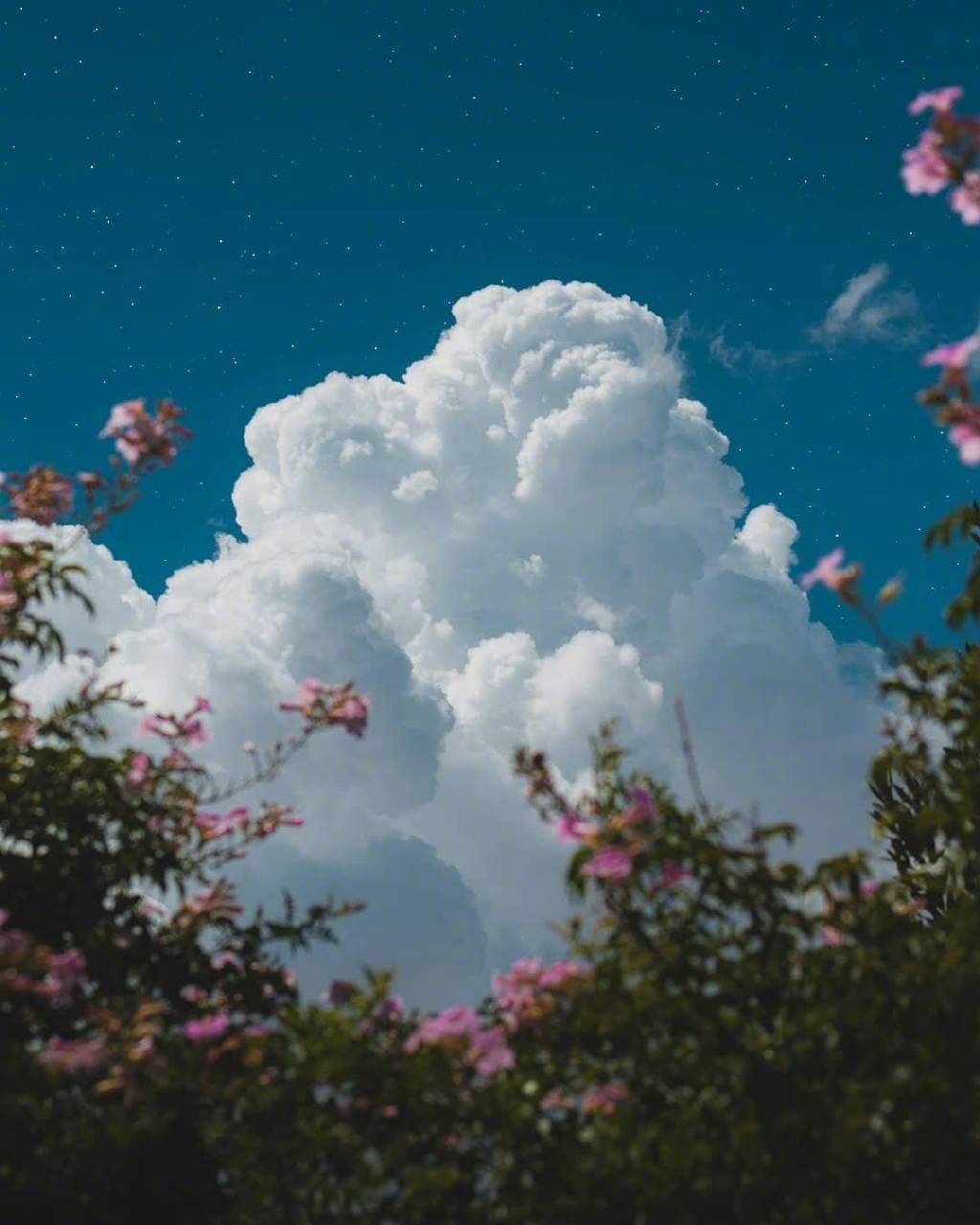 月遇從雲 花遇和風 今晚的夜空很美 我又想你了