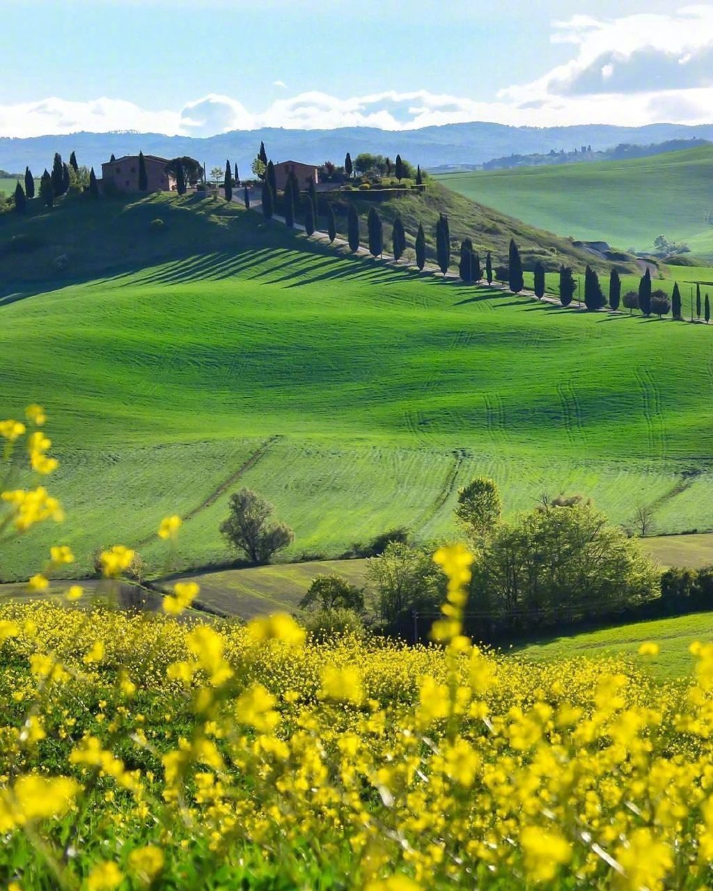 阿尔卑斯山下,春天的精灵开始飞舞._高清图集_新浪网