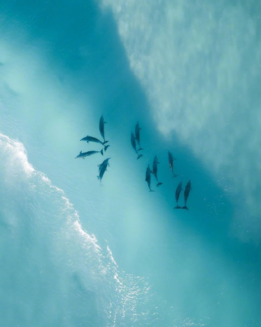 蓝色自由之海摄影师insjaxonroberts