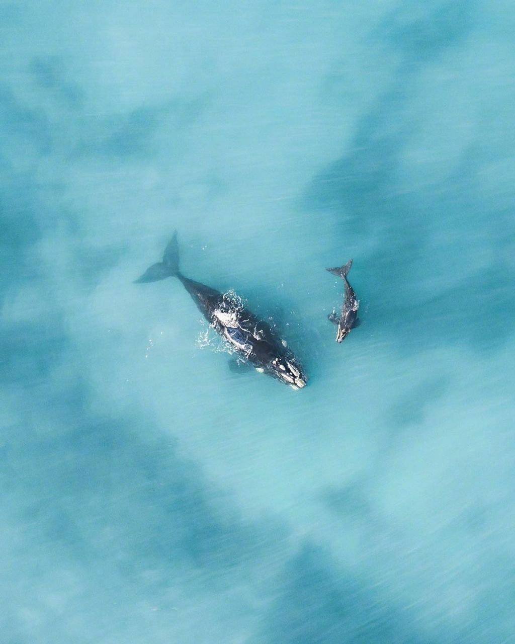 蓝色自由之海摄影师insjaxonroberts