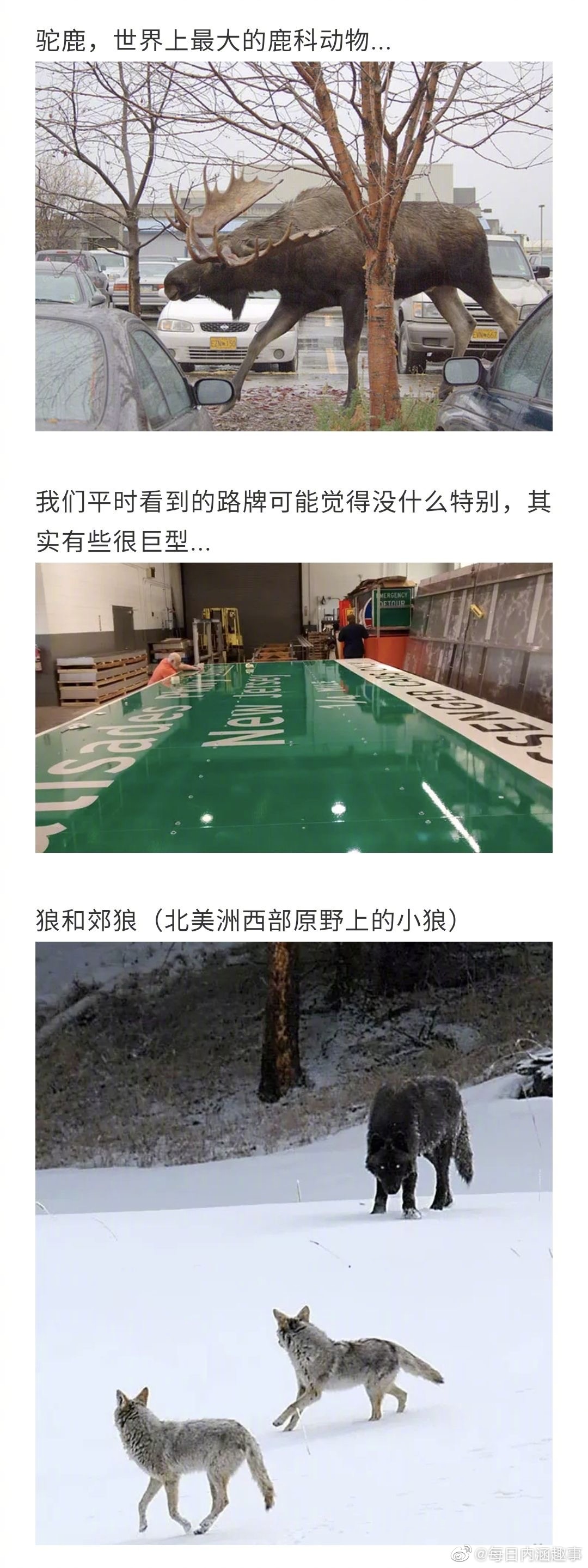 比你想象中还要大的东西！看完直呼好家伙...__财经头条