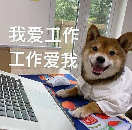 表情包 | 我爱工作 工作爱我 拿图点赞,吱声