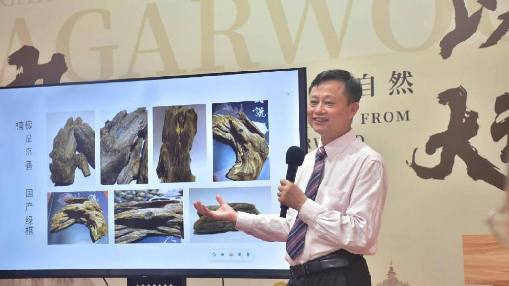珠海:岭南道地名贵中药材“茂名伽楠沉香”的药用价值与文化|沉香|茂名|中药材_新浪新闻