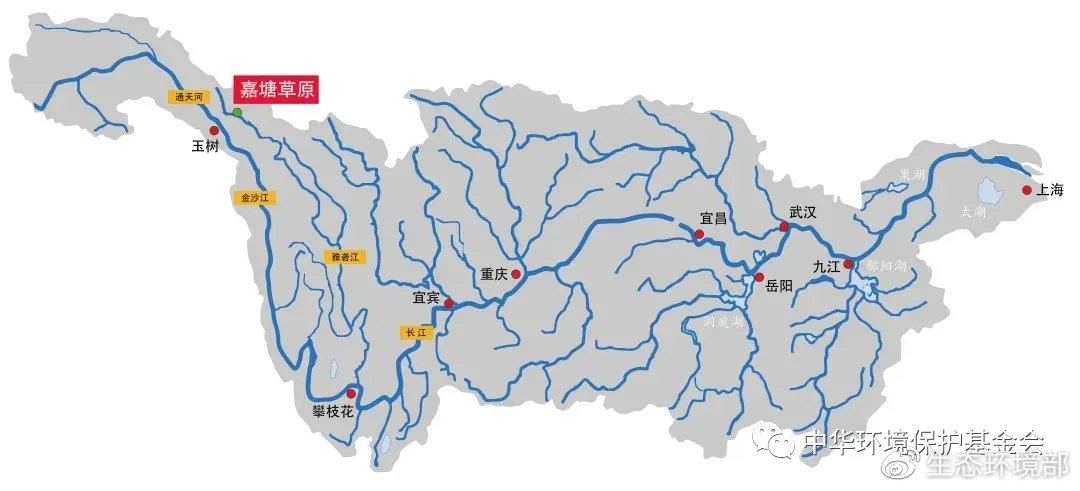 人人一平米,共同守护生物多样性