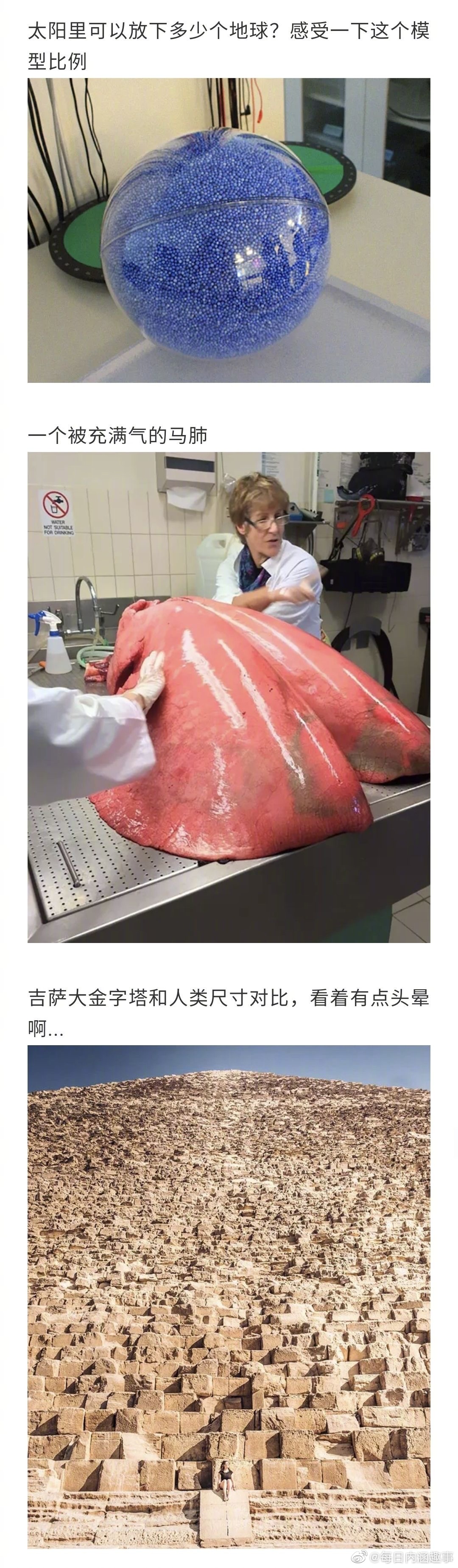比你想象中还要大的东西！看完直呼好家伙...__财经头条