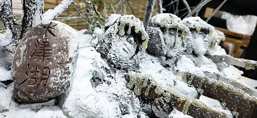 一场酣畅淋漓的胜利,《长津湖》终成国产战争片新的天花板休闲区蓝鸢梦想 - Www.slyday.coM 一场酣畅淋漓的胜利,《长津湖》终成国产战争片新的天花板休闲区蓝鸢梦想 - Www.slyday.coM