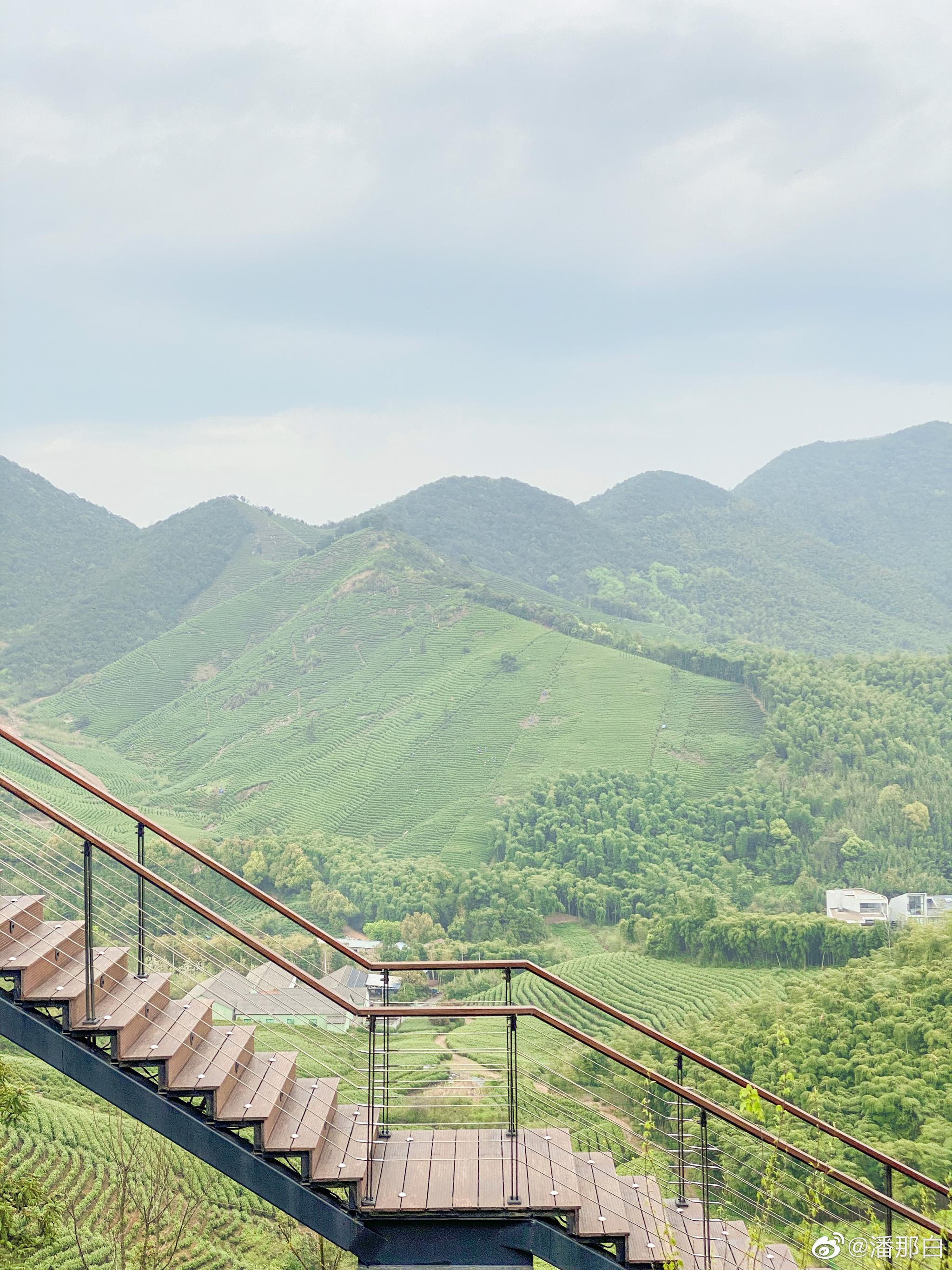 湖州慧心谷绿奢度假村坐落在山间,一半是竹海,一半是茶田