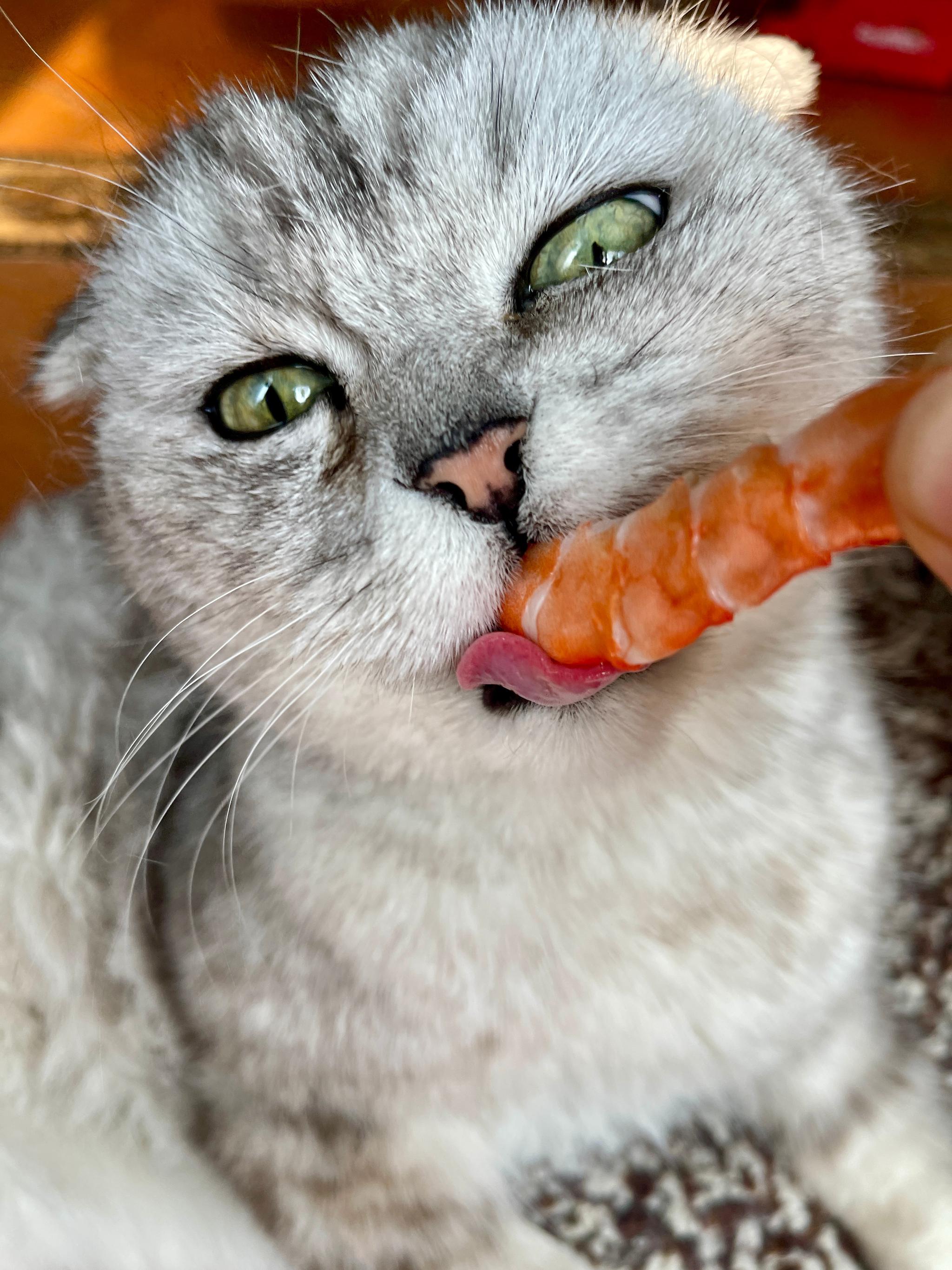 猪哥对虾属于迟来的爱