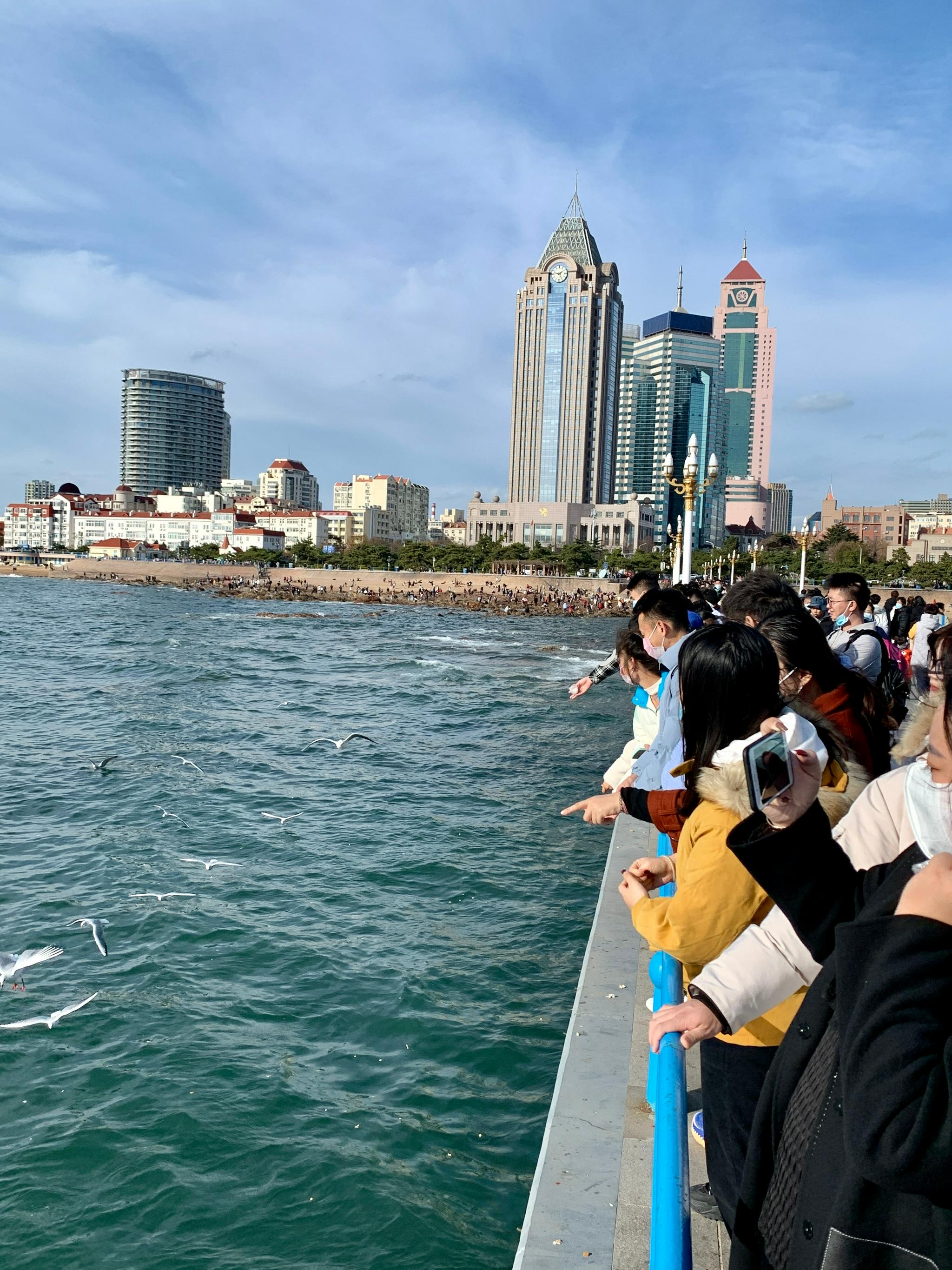初冬的青岛山青海碧温度适宜在栈桥散散步喂喂海鸥