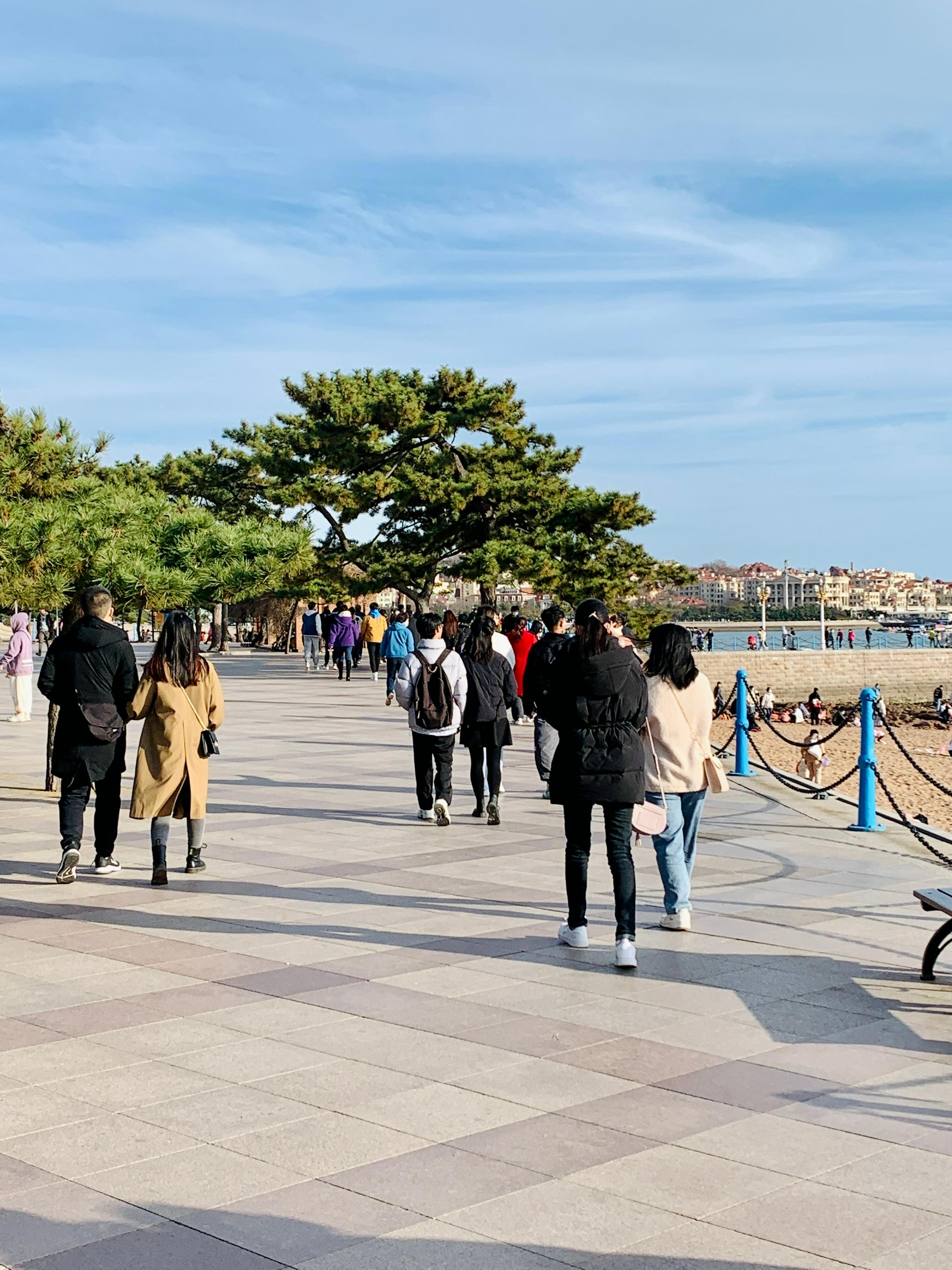 初冬的青岛山青海碧温度适宜在栈桥散散步喂喂海鸥