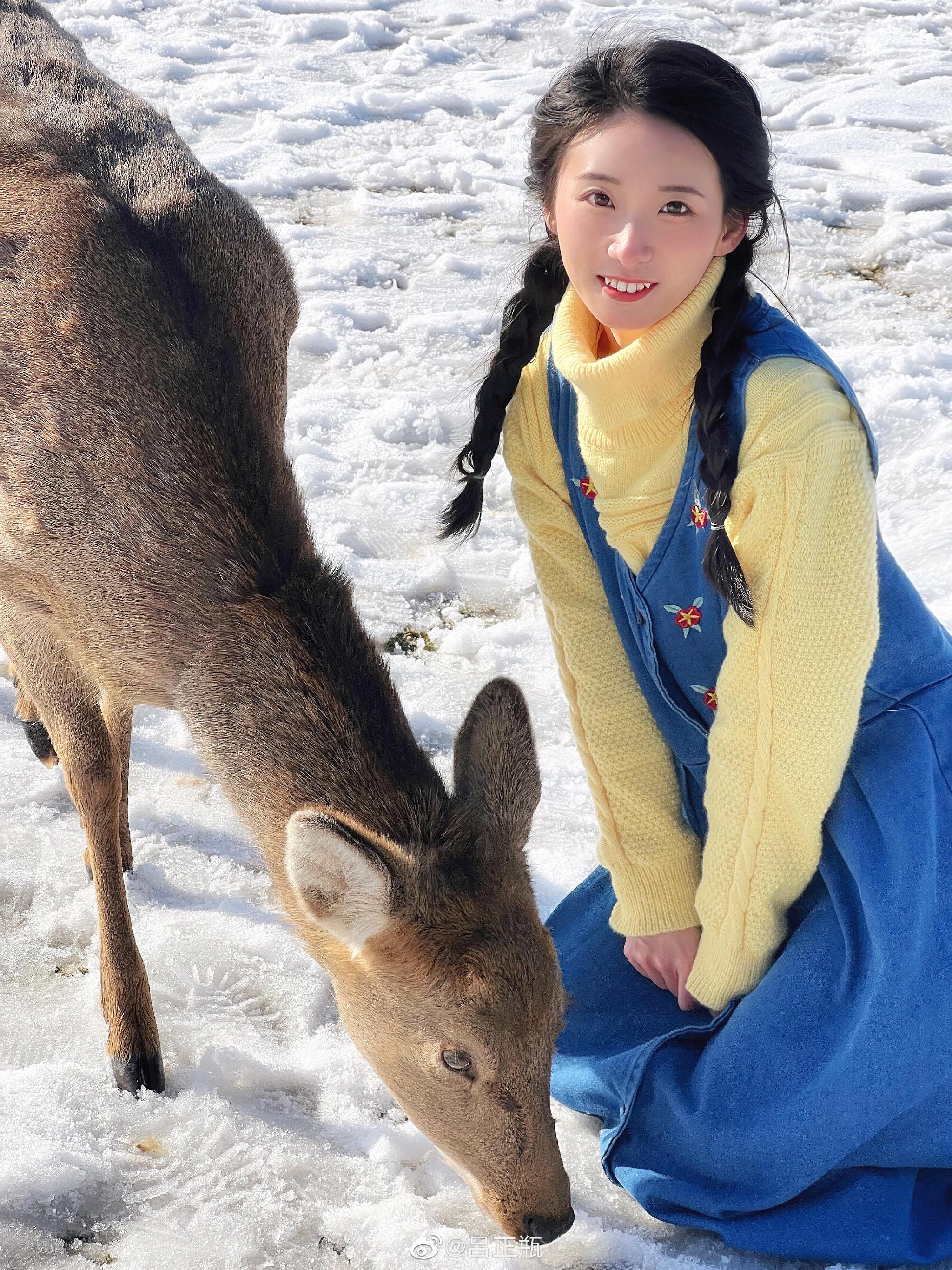 手机花絮~ 神农架旅拍~在大九湖拍小鹿 有了上次拍动物的经验