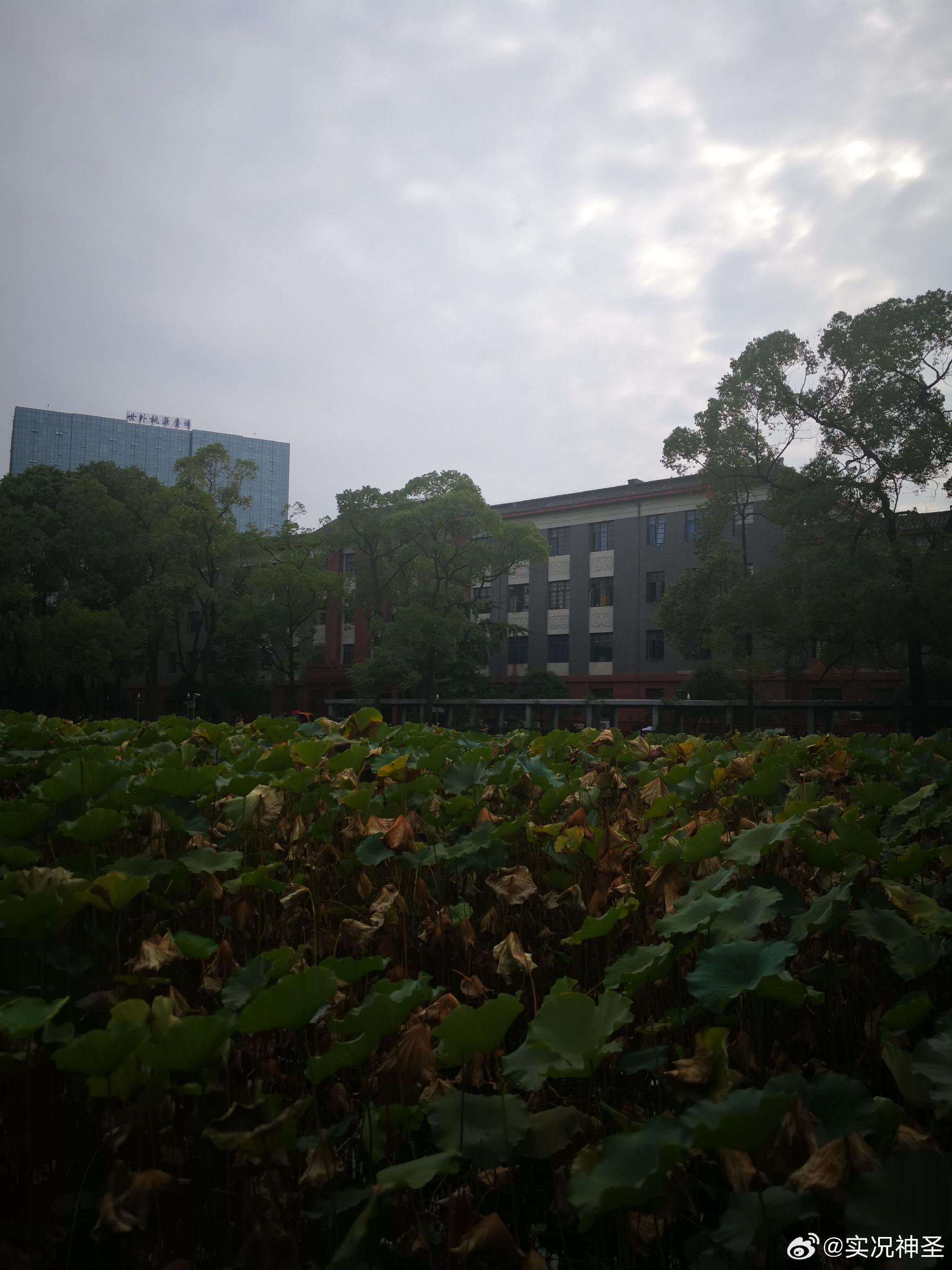 分享我有次去川大拍的照片|川大|照片_新浪新闻