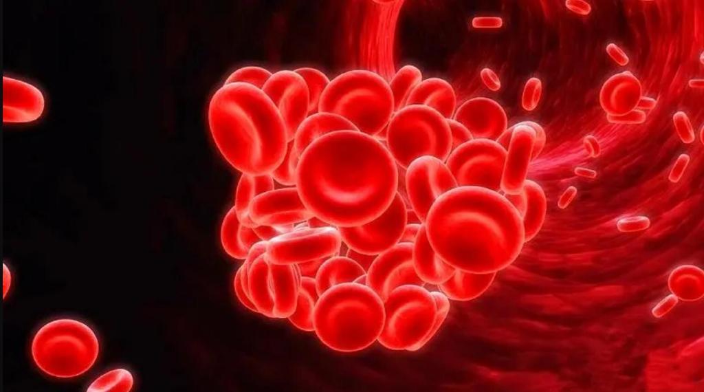 鲎:活了4亿年,靠蓝色血液救死扶伤,却被逼入绝境__财经头条