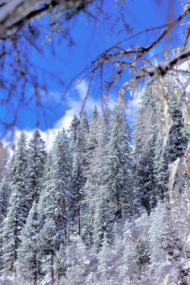 惊艳！这雪景，怕不是人间仙境吧休闲区蓝鸢梦想 - Www.slyday.coM