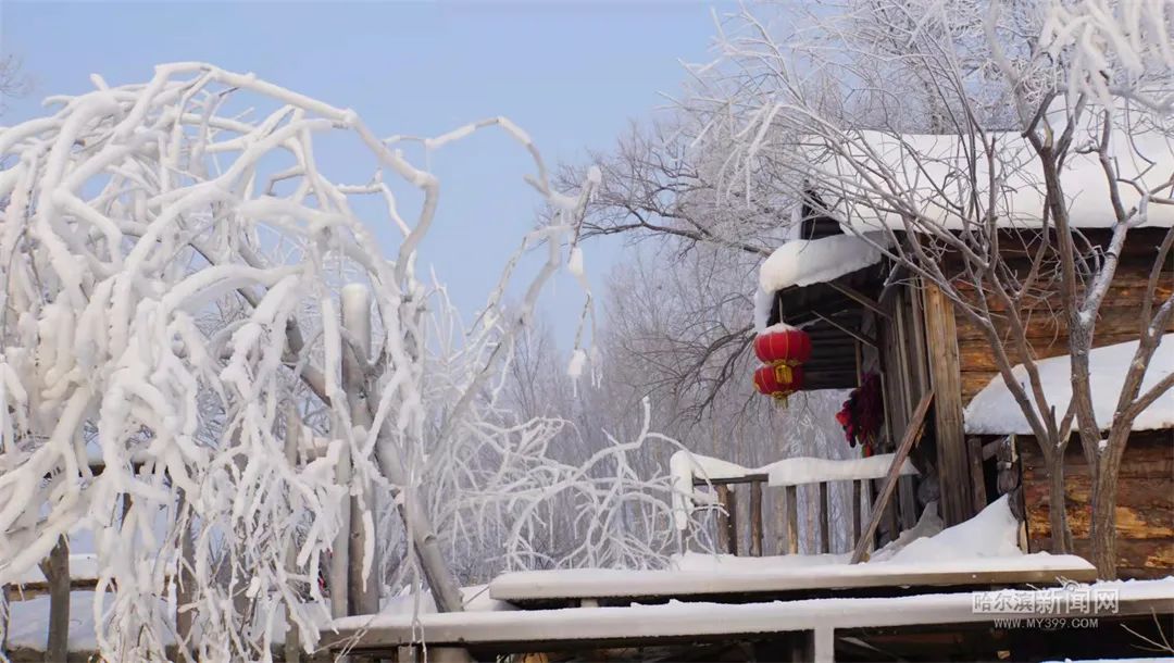 21日夜间到22日哈尔滨东北部等地大暴雪丨哈市交警全力应对暴风雪休闲区蓝鸢梦想 - Www.slyday.coM