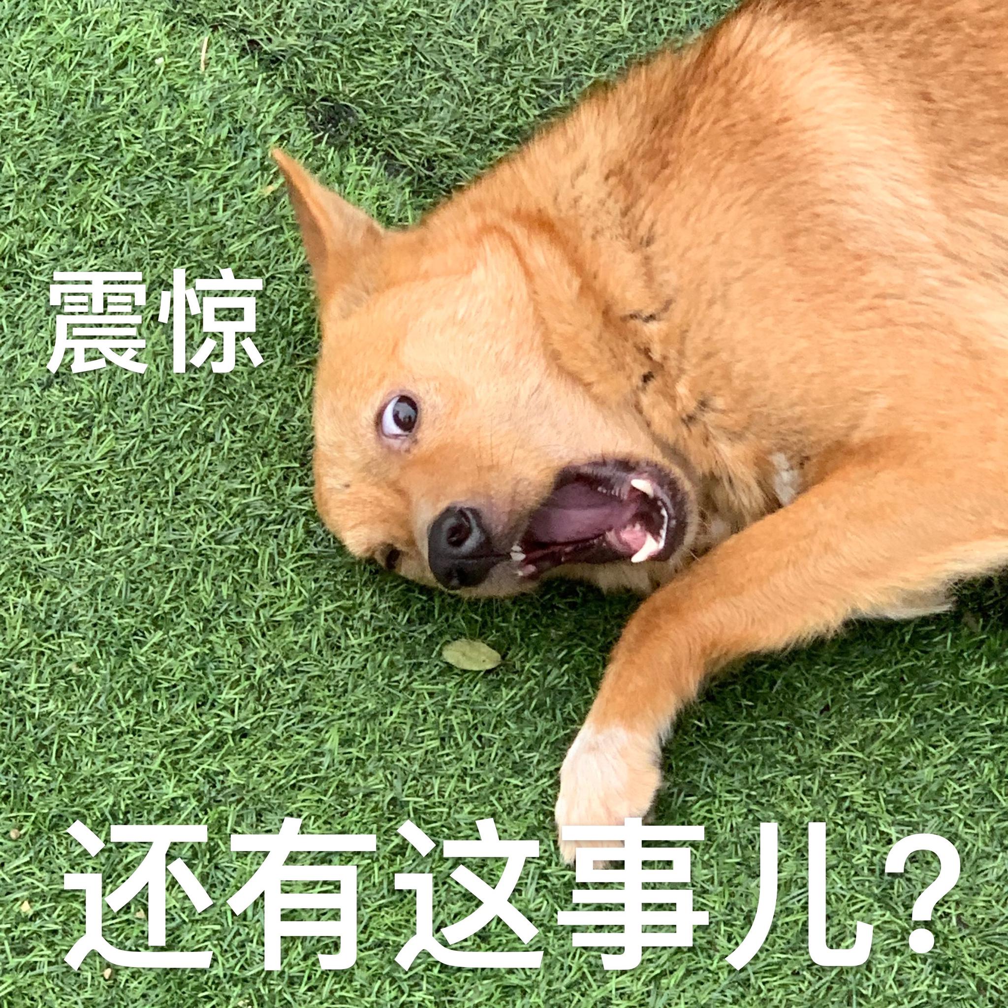 今日份的沙雕无水印表情包nice爬开难过要抱抱好兄弟