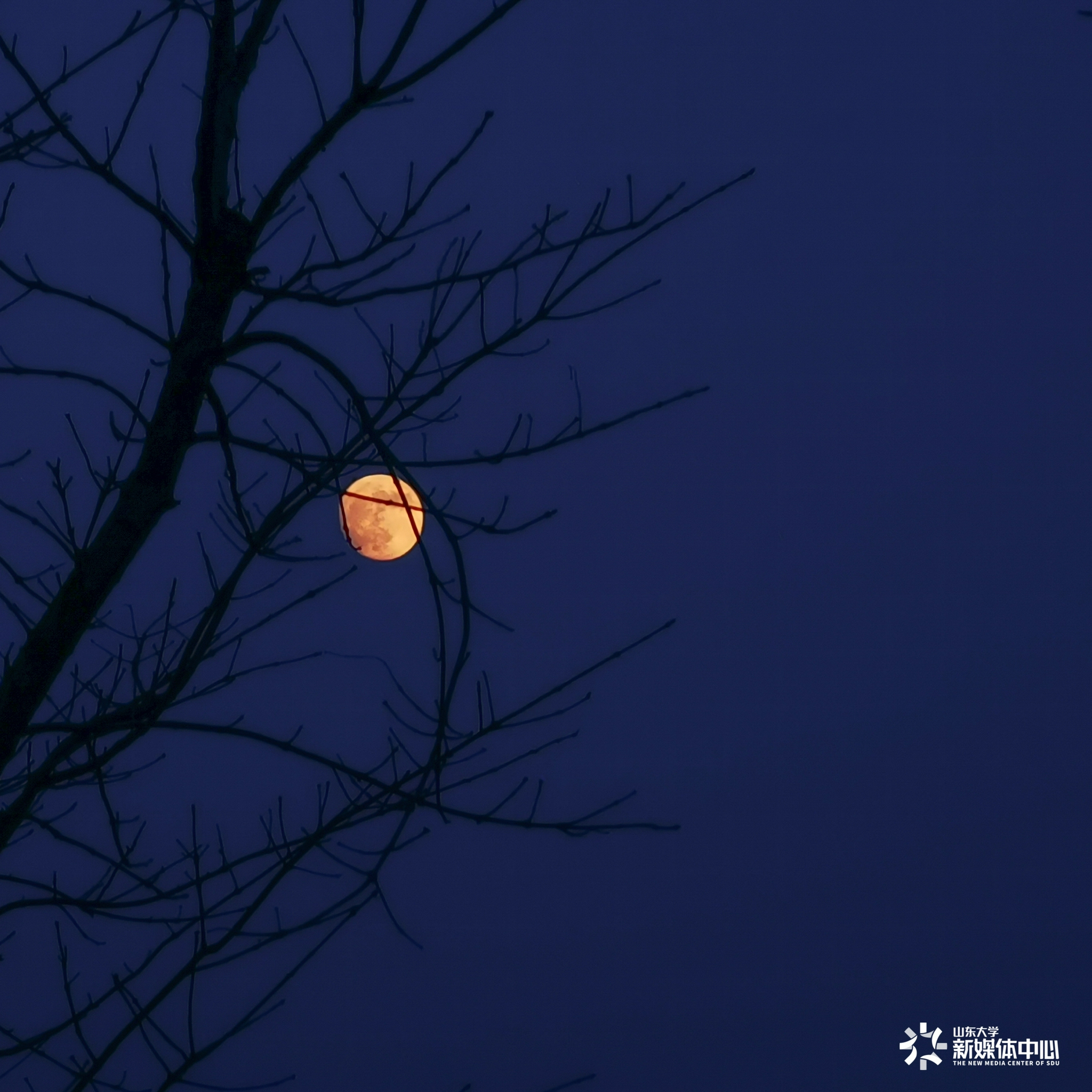 夜很静星星与星星互诉衷肠