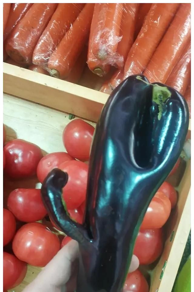 30个"妖娆"的奇形怪状的水果蔬菜,大饱眼福,植物也是很有灵性__财经