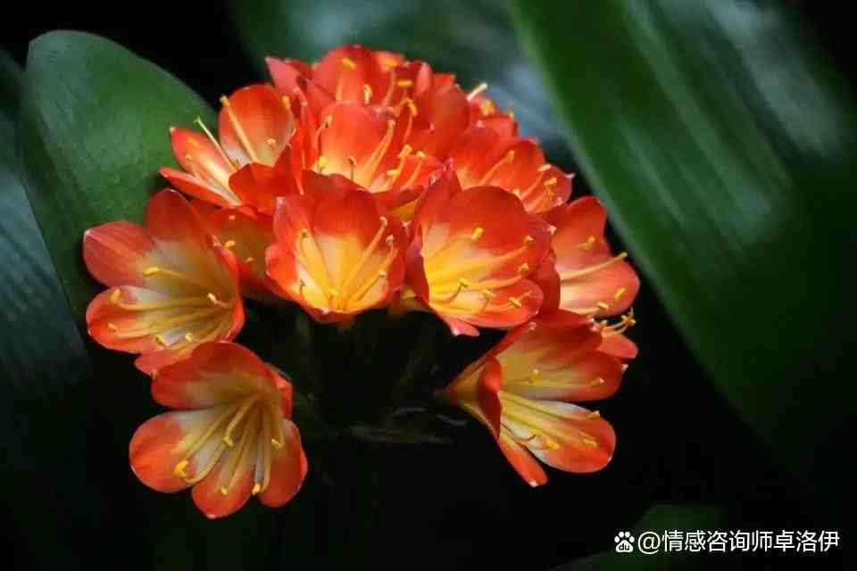 二婚女人的底气从哪里来?做到这3点,你也可以得到美满的婚姻休闲区蓝鸢梦想 - Www.slyday.coM 二婚女人的底气从哪里来?做到这3点,你也可以得到美满的婚姻休闲区蓝鸢梦想 - Www.slyday.coM