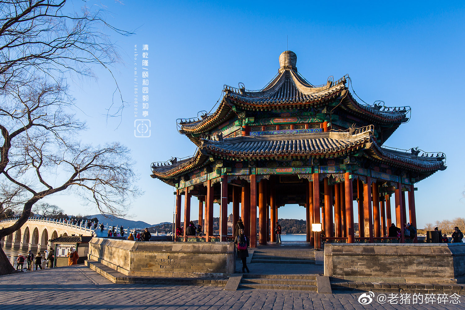 我与地坛全文