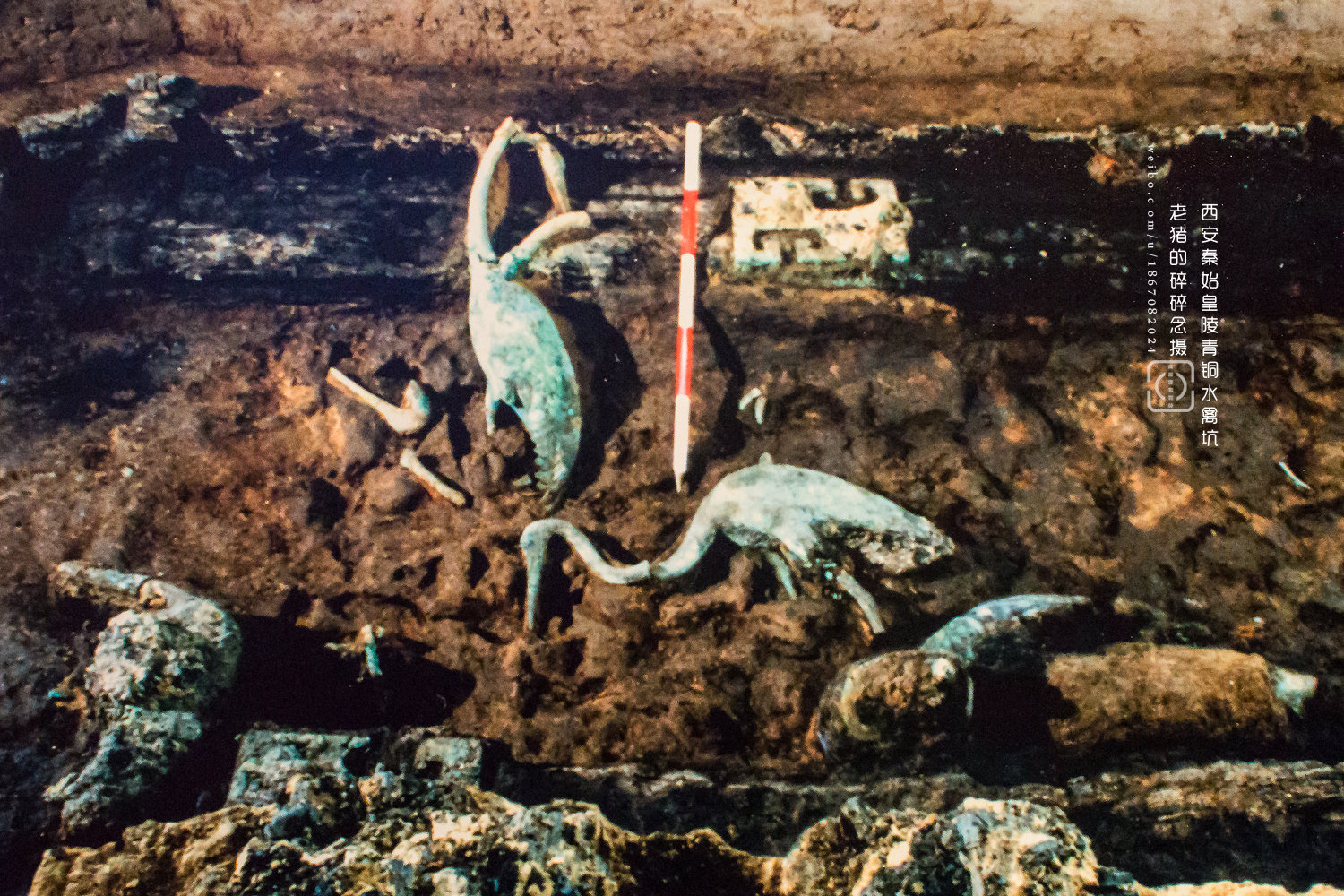 秦始皇陵铜水禽坑现场