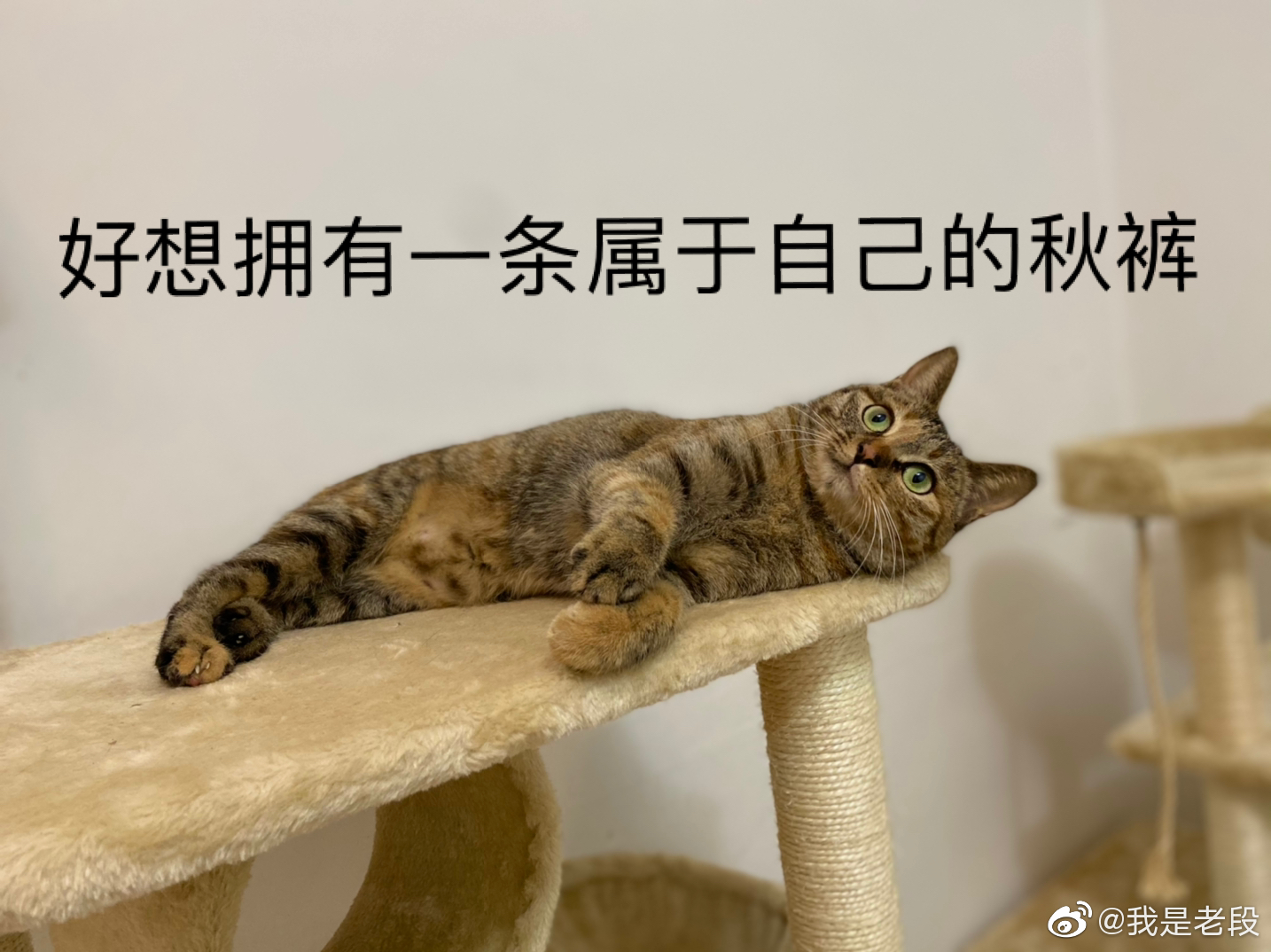 有一种成熟,就是天冷了,不用老妈提醒就主动穿起了秋裤