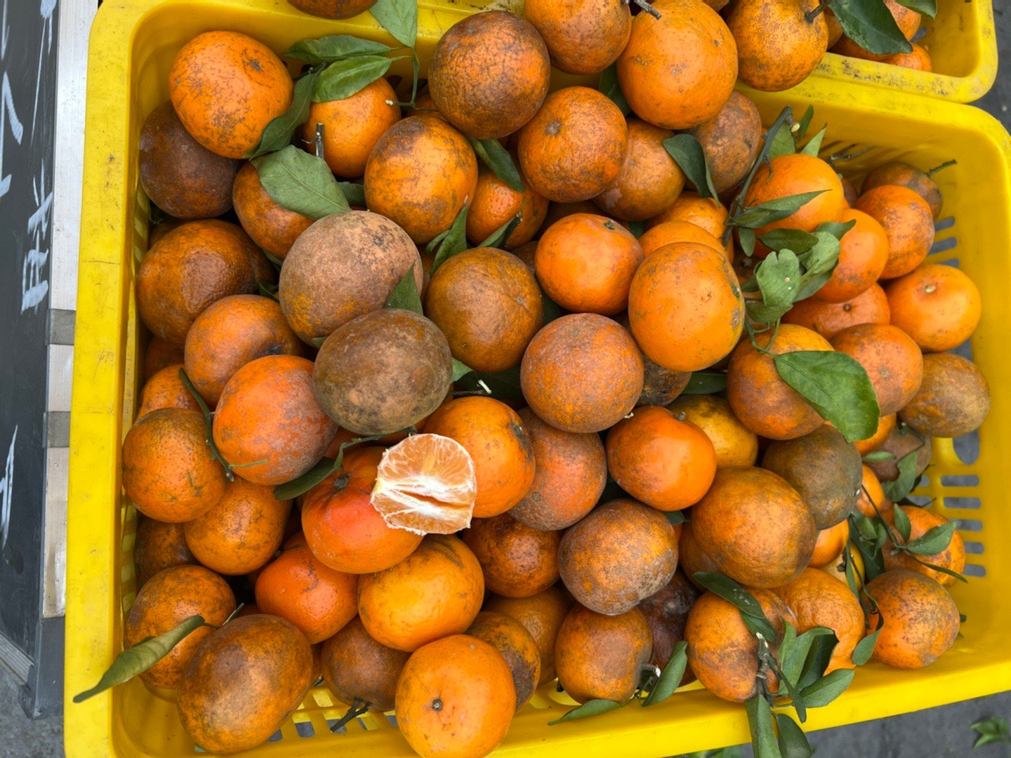 广州增城路边,看到广西沃柑,十元四斤,这种又黑又丑不红润的