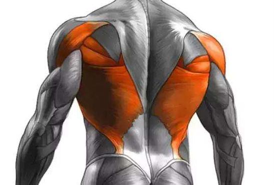 给你的脊背放个假这六步拉伸肩胛放松肩颈赶走一周疲劳