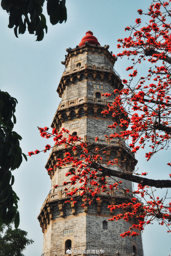 潮阳棉城景点图片