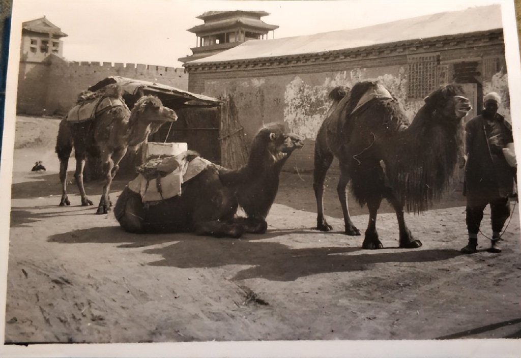 这是一组拍摄于上世纪二十年代的老照片,主要内容是当时北京街头普通休闲区蓝鸢梦想 - Www.slyday.coM 这是一组拍摄于上世纪二十年代的老照片,主要内容是当时北京街头普通休闲区蓝鸢梦想 - Www.slyday.coM