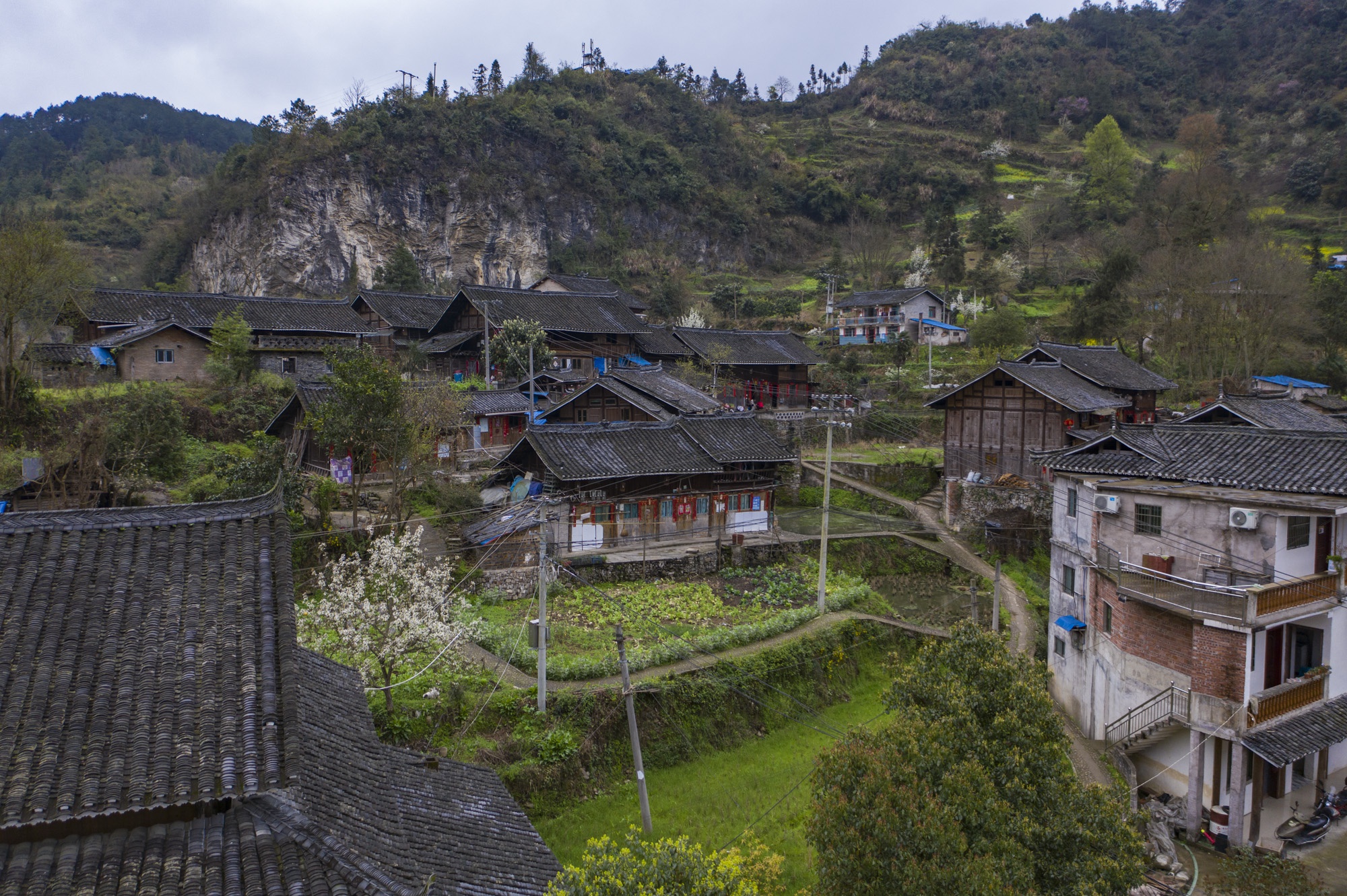 新闻看点# 黔东南州丹寨县的石桥村有着闻. 来自旅游美食季 - 微博