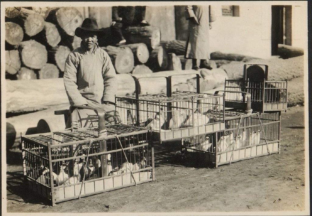 这是一组拍摄于上世纪二十年代的老照片,主要内容是当时北京街头普通休闲区蓝鸢梦想 - Www.slyday.coM 这是一组拍摄于上世纪二十年代的老照片,主要内容是当时北京街头普通休闲区蓝鸢梦想 - Www.slyday.coM