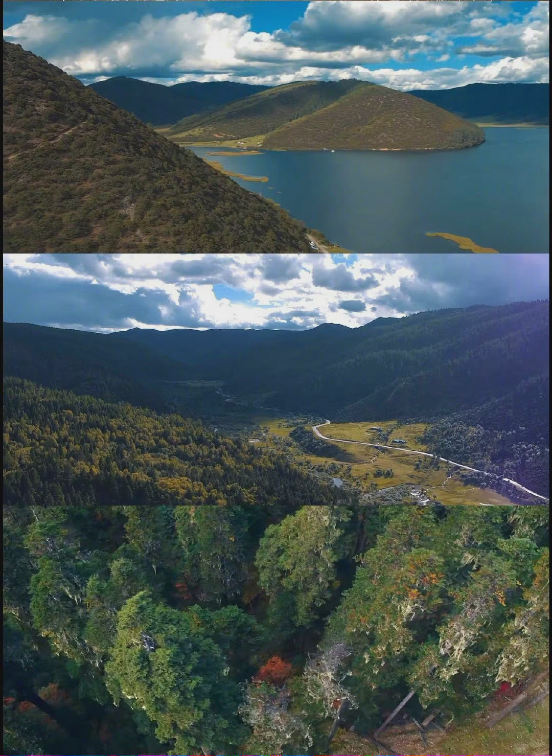 司藤的取景地也太美了吧